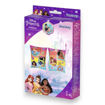 Picture of ARM BANDS PRINCESS 3-6 YEARS